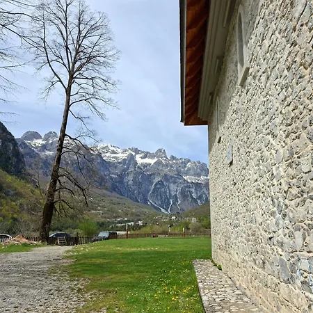 Ferma E Bleteve Stomici Nderlysaj