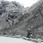 Ferma E Bleteve Stomici Nderlysaj