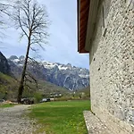 Ferma E Bleteve Stomici Nderlysaj