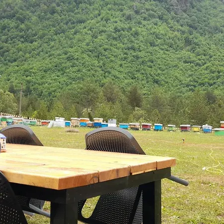 Ferma E Bleteve Stomici Hébergement de vacances Nderlysaj