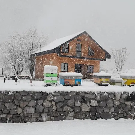 Ferma E Bleteve Stomici * Nderlysaj