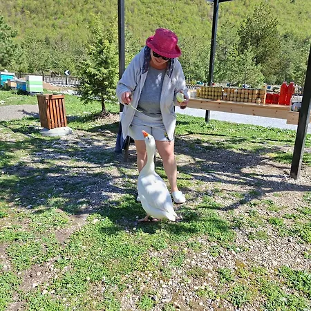 Hébergement de vacances Ferma E Bleteve Stomici *