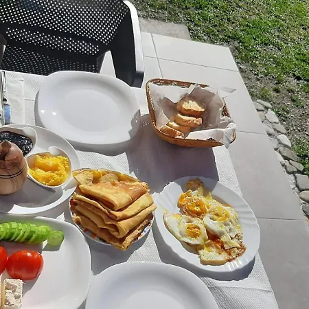 Ferma E Bleteve Stomici * Nderlysaj